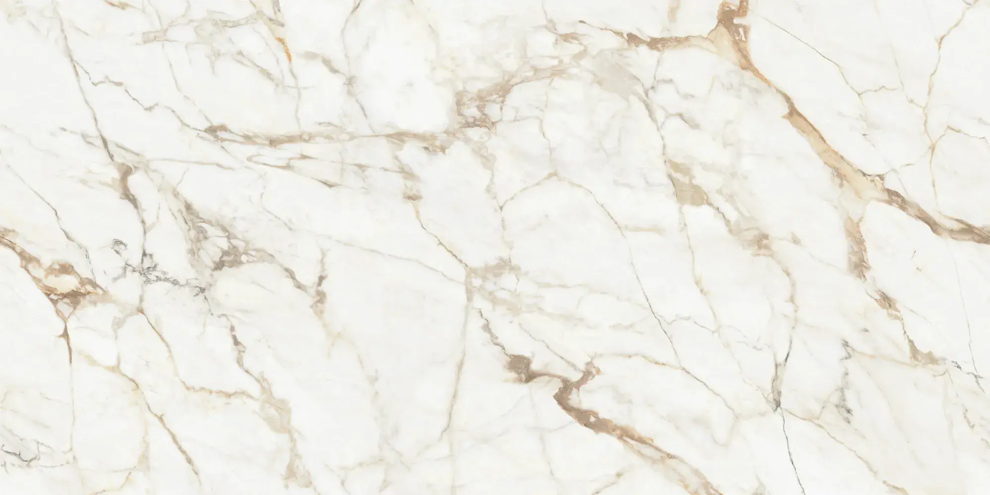 Calacatta Gold